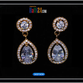 Elegant Silver & Golden Earrings